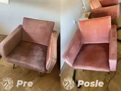 Dubinsko pranje braon fotelje pre i posle pranja u Beogradu