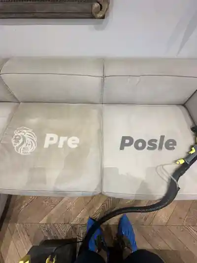 Dubinsko pranje duseka pre i posle pranja u Beogradu