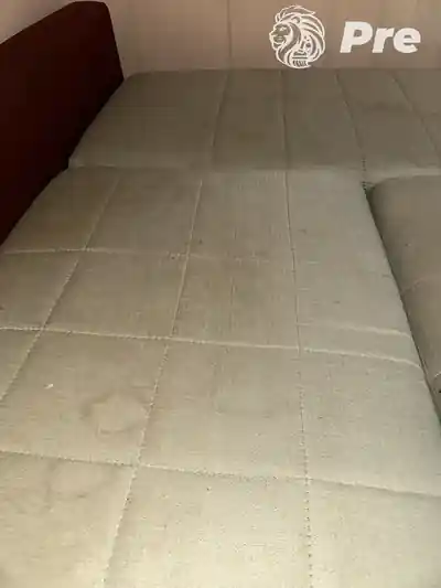 Dubinsko pranje duseka pre dubinskog pranja u Beogradu
