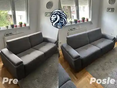 Dubinsko pranje sivog dvoseda pre i posle pranja u Beogradu