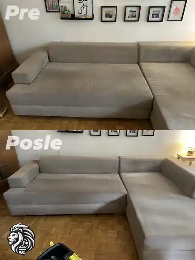 Dubinsko pranje sivog troseda pre i posle pranja u Beogradu