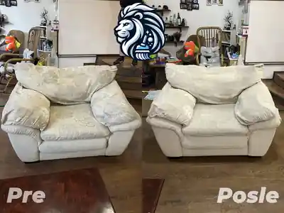 Dubinsko pranje belog troseda pre i posle pranja u Beogradu