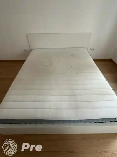 Dubinsko pranje duseka pre pranja u Beogradu