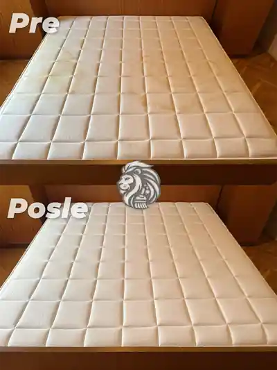 Dubinsko ciscenje francuskog lezaja - rezultat 2