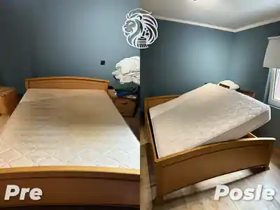Dubinsko pranje duseka pre i posle pranja u Beogradu