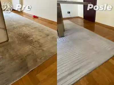 Dubinsko pranje tepiha pre i posle pranja u Beogradu