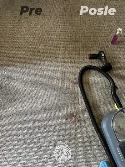 Dubinsko pranje tepiha tokom dubinskog pranja u Beogradu