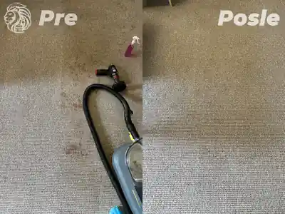 Dubinsko pranje tepiha pre i posle pranja izbliza u Beogradu