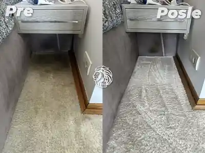 Dubinsko pranje tepiha pre i posle pranja kod kreveta u Beogradu