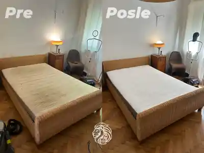 Dubinsko pranje duseka pre i posle dubinskog pranja u Beogradu