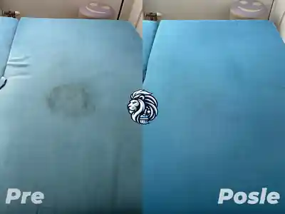 Plavi lezaj pre i posle uklanjanja fleke dubinskim pranjem u Beogradu