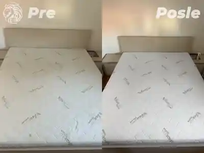 Dubinsko pranje duseka pre i posle dubinskog pranja izbliza u Beogradu
