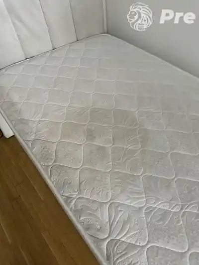 Dubinsko pranje duseka pre tretmana izbliza u Beogradu