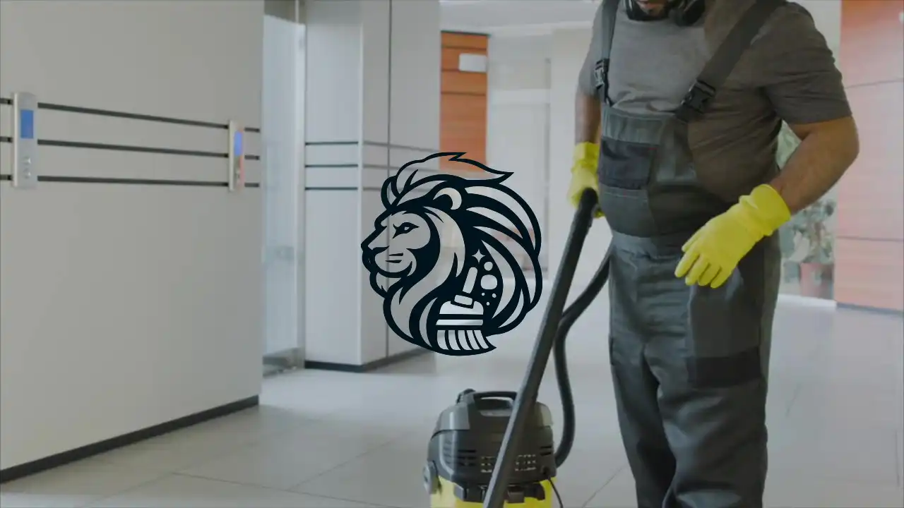 Lion Clean dubinsko ciscenje